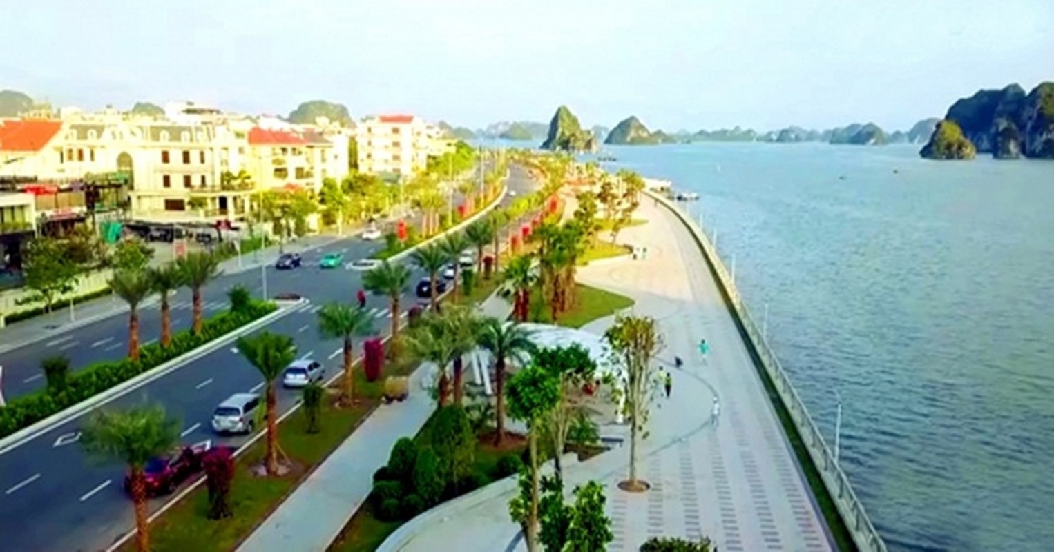 Con duong o Viet Nam duoc vi nhu “pho nha giau”, toan biet thu tien ty-Hinh-9