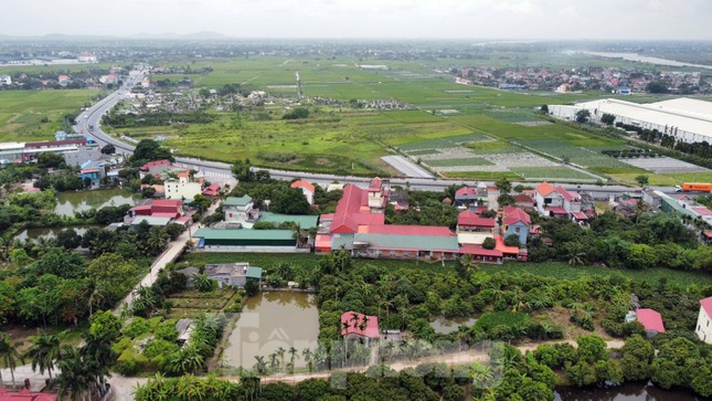 Biet thu, lau dai moc nhu nam tren dat nong truong o Hai Phong-Hinh-2