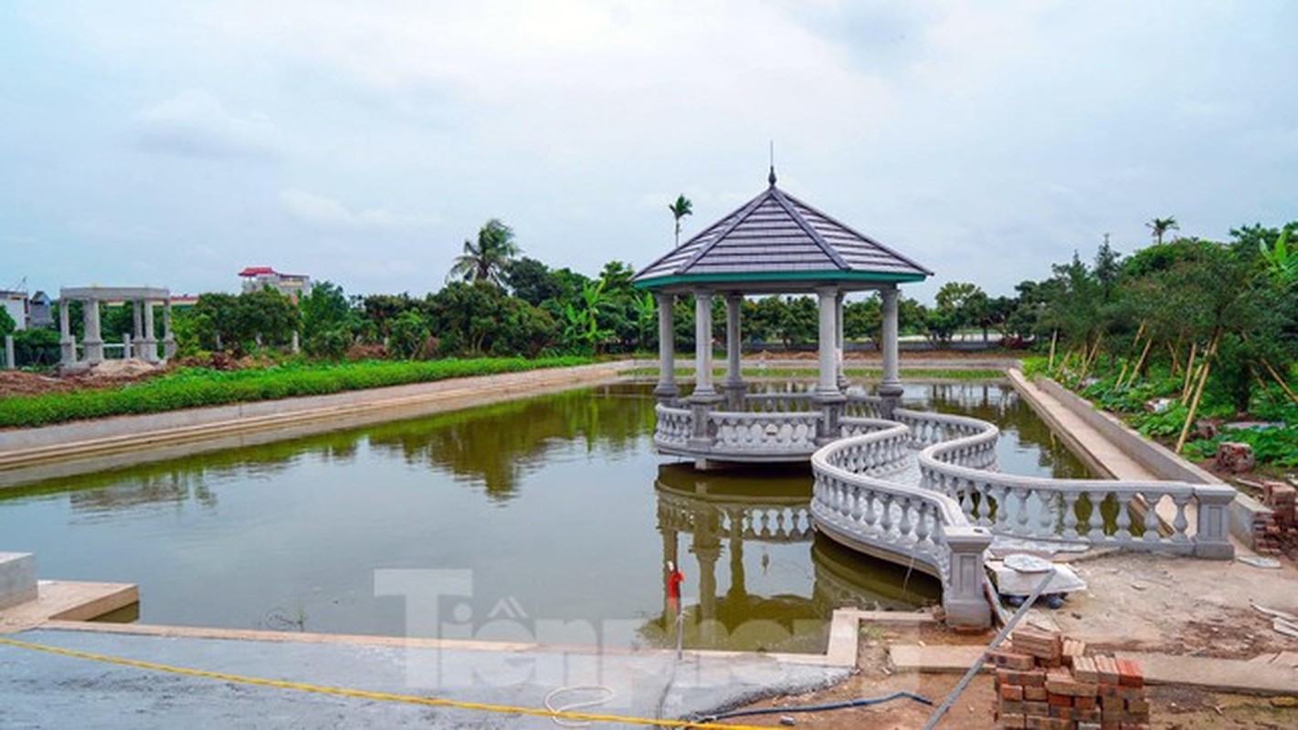 Biet thu, lau dai moc nhu nam tren dat nong truong o Hai Phong-Hinh-6