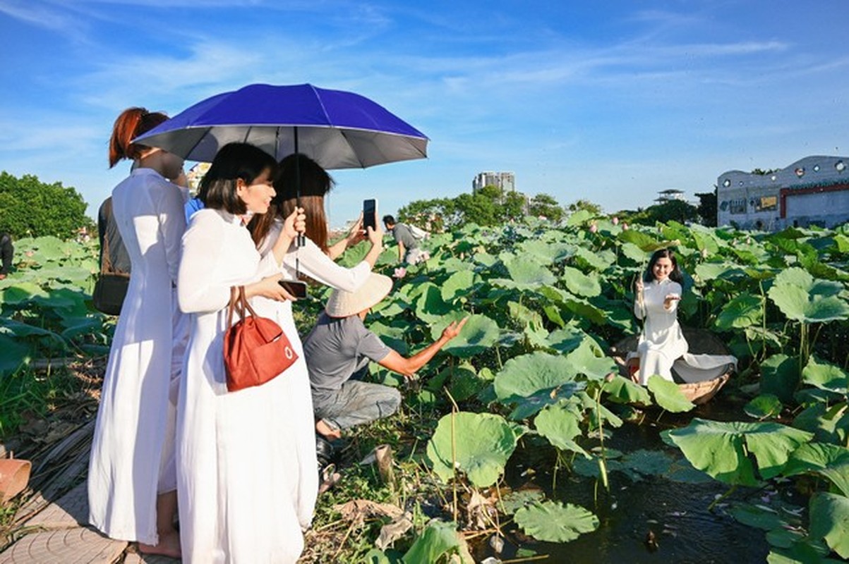 Sen Ho Tay vao mua, dich vu thue vay ao, trang diem chup anh hut gioi tre-Hinh-10