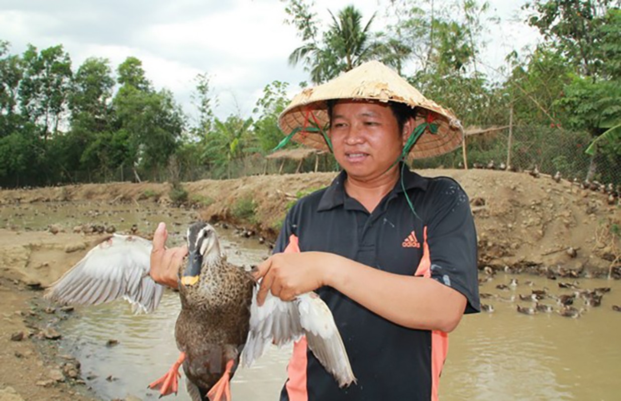 Loai sang bay di toi lai bay ve, o Viet Nam co nguoi nuoi lai tram trieu-Hinh-9