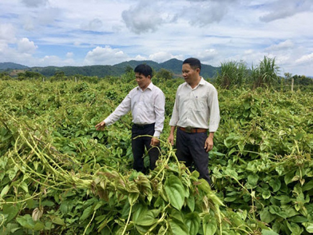 Thu moc hoang xua ngheo dao cu ve an, nay trong thu tien ty-Hinh-10