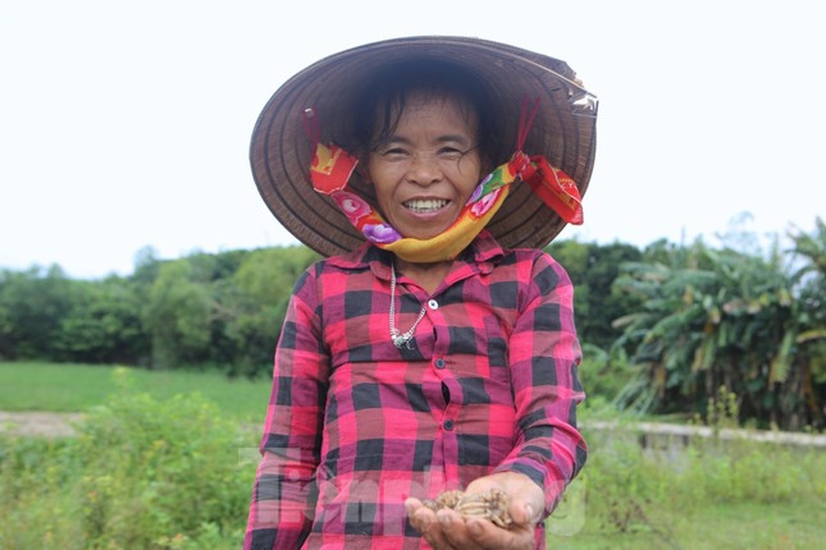 Nong dan Ha Tinh kiem tien trieu moi ngay nho san de mua lu-Hinh-2