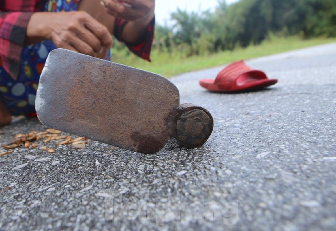 Nong dan Ha Tinh kiem tien trieu moi ngay nho san de mua lu-Hinh-6