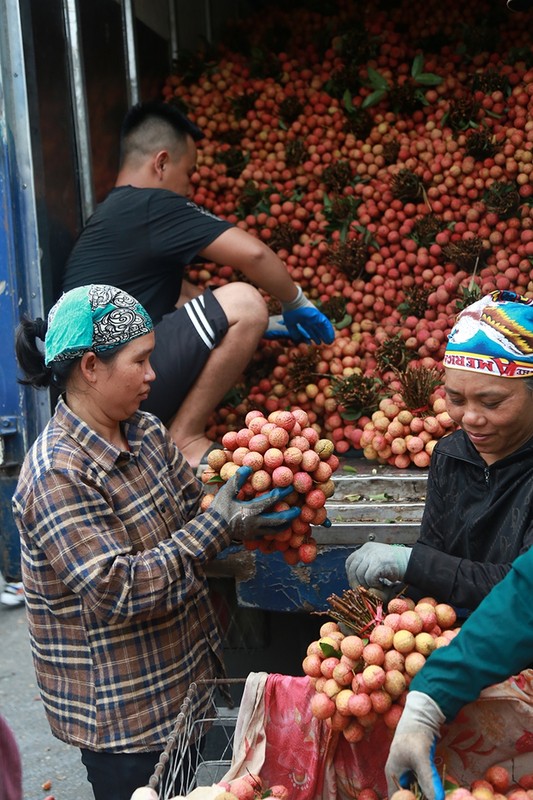 Vai thieu Thanh Ha mua buon 15 nghin/kg, vua mat mua vua mat gia-Hinh-7