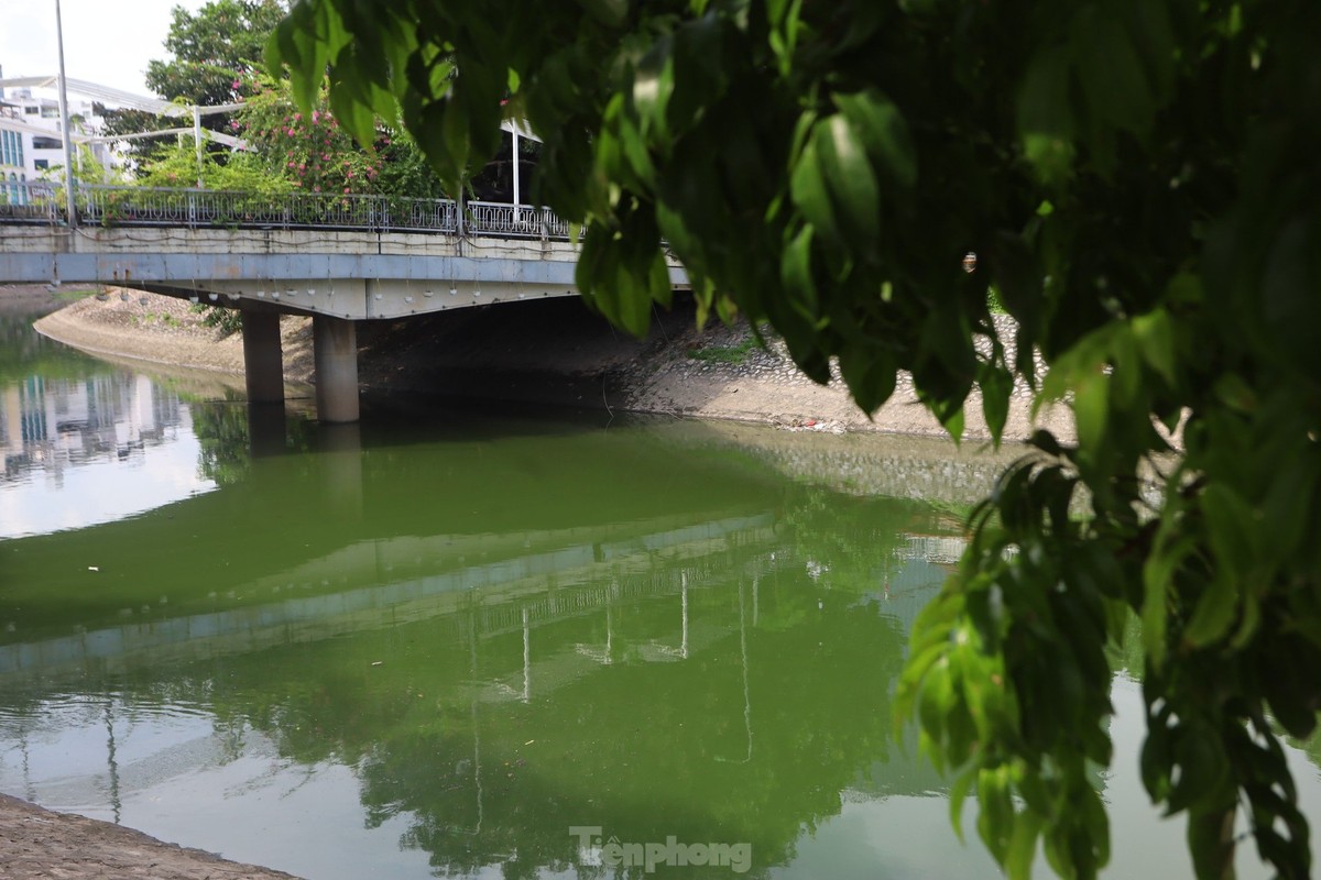 View - 	Nước sông Tô Lịch bỗng chuyển màu xanh nên thơ, trữ tình