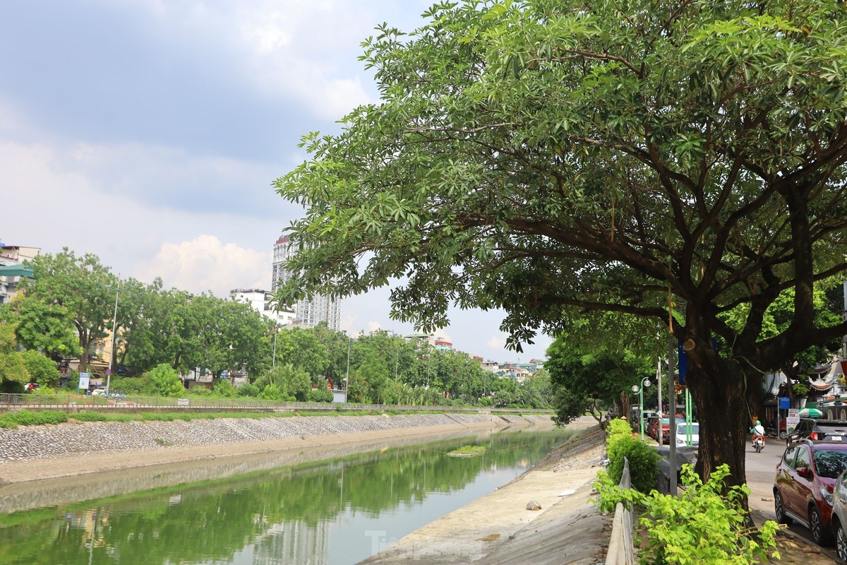 View - 	Nước sông Tô Lịch bỗng chuyển màu xanh nên thơ, trữ tình