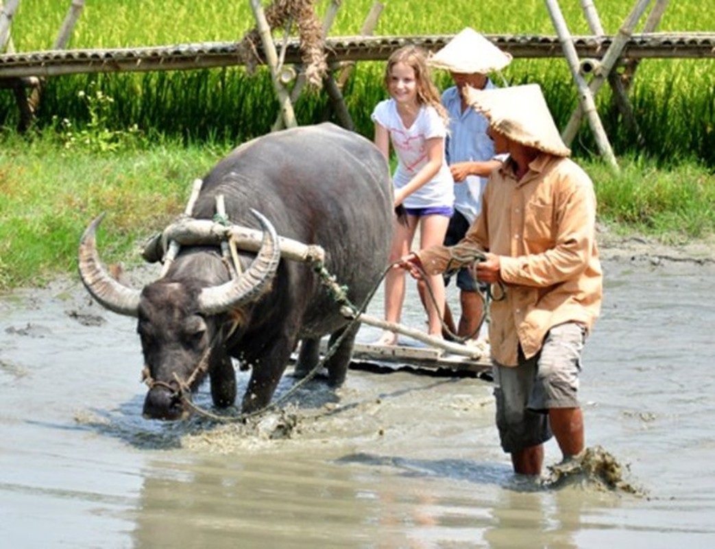 Cac loai hinh du lich o Viet Nam thu hut du khach nuoc ngoai-Hinh-5