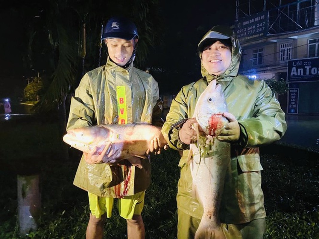 Nuoc lu dang cao, nguoi dan Ha Tinh mang nom ra duong bat ca-Hinh-7