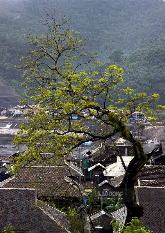 Doc dao nhung khu pho nha san lop da o Dien Bien-Hinh-9