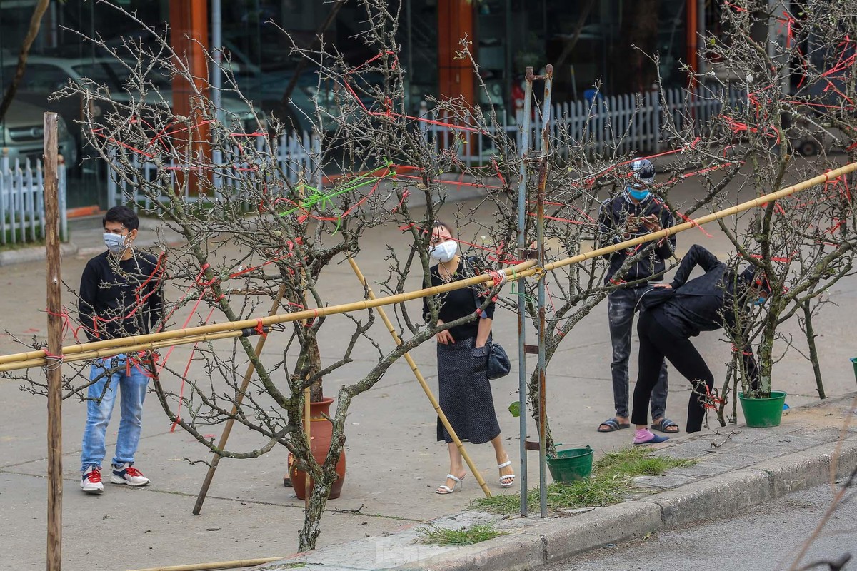 Nguoi Ha Noi 'choi Tet' som voi hoa le rung-Hinh-5