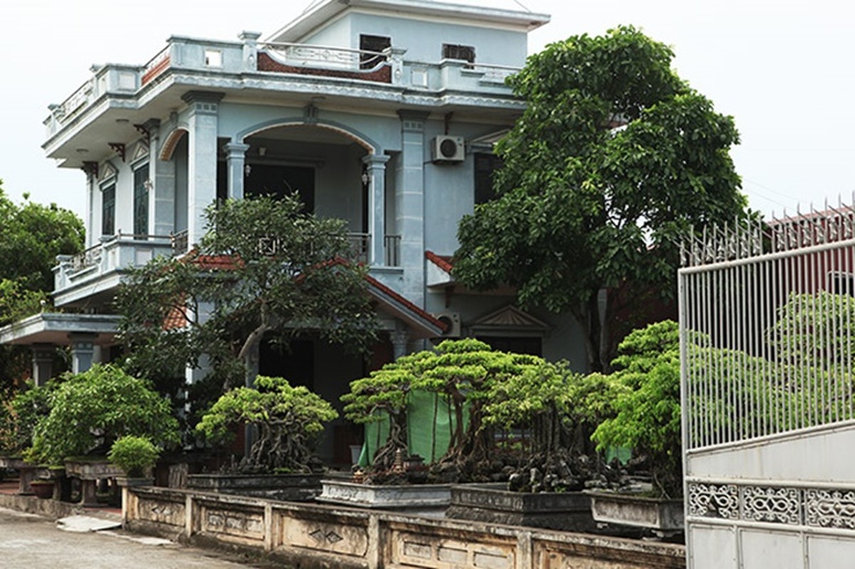 Lang toan nha giau, biet thu giua vung que o Viet Nam-Hinh-6