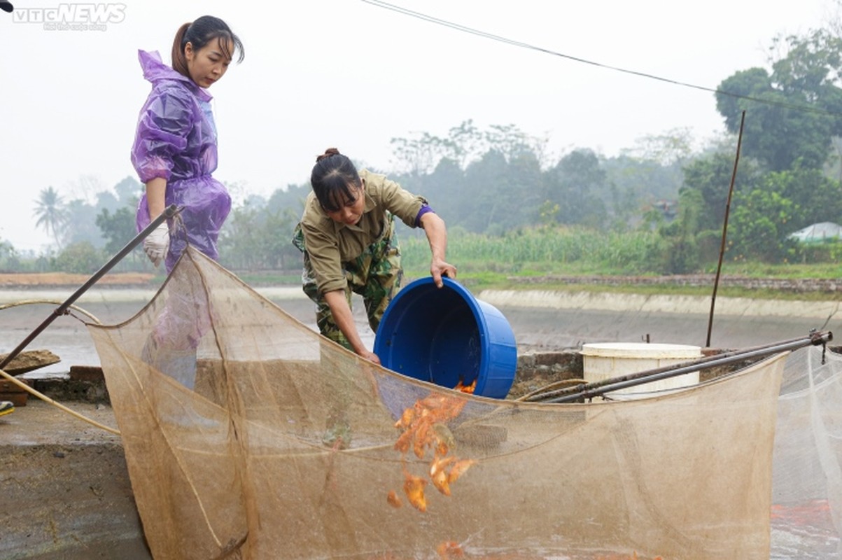 Ngay cung ong Cong ong Tao nam nay, lang ca chep do boi thu-Hinh-7