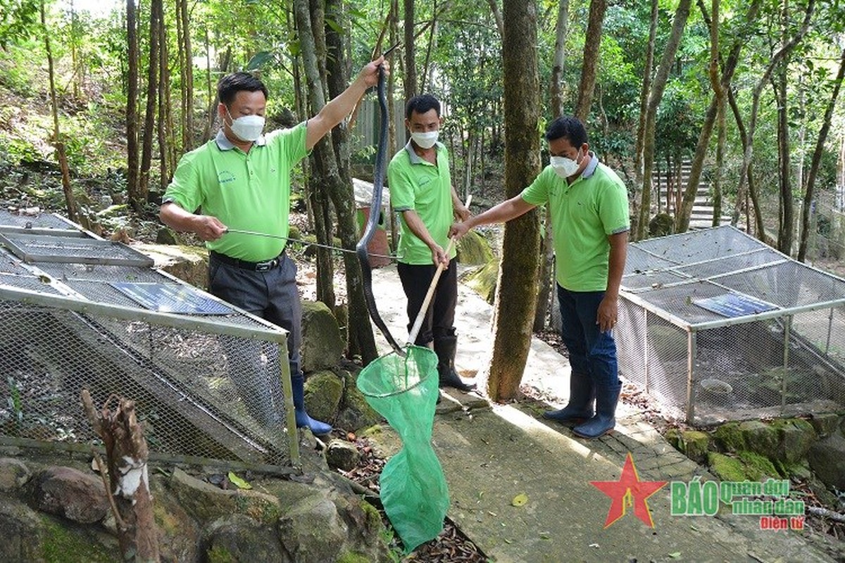 Cac chien si “bao mau” o Trai ran Dong Tam, Quan khu 9-Hinh-15