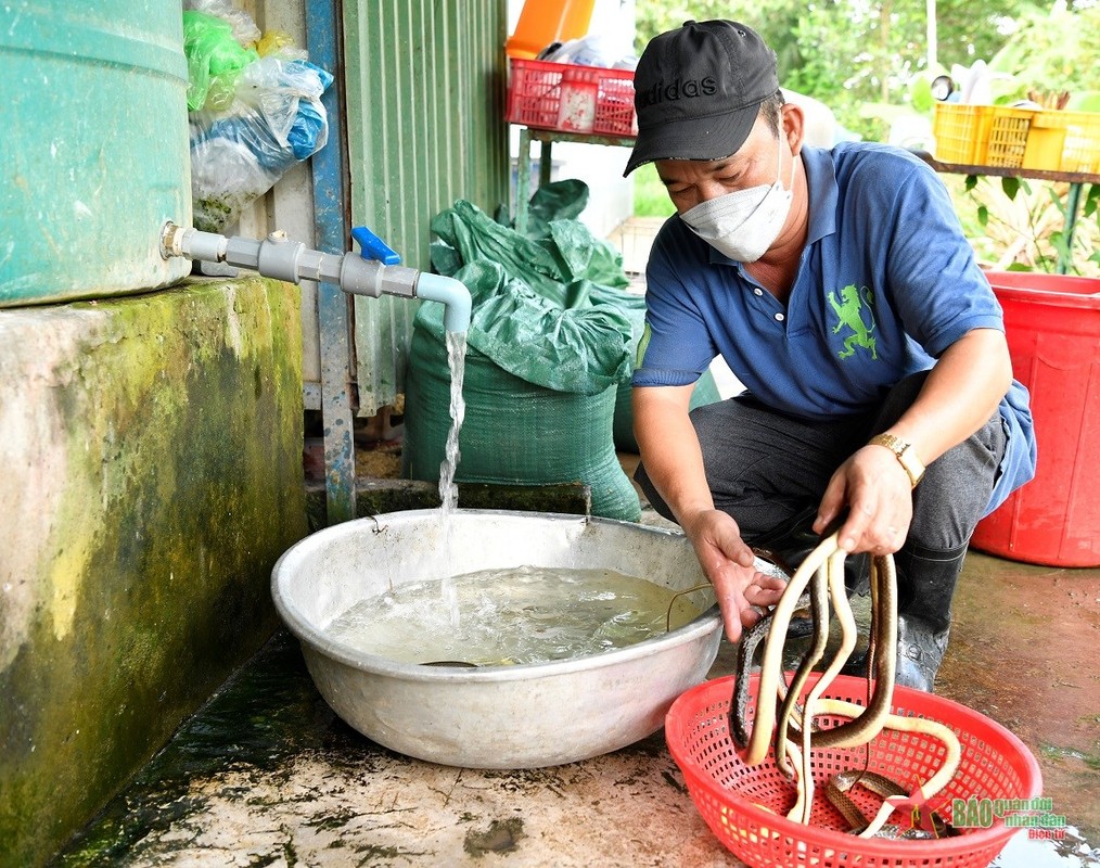 Cac chien si “bao mau” o Trai ran Dong Tam, Quan khu 9-Hinh-6