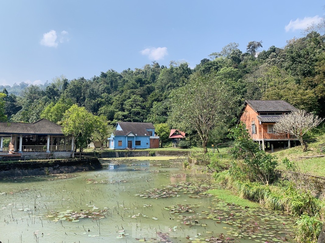 Co gi trong khu du lich sinh thai bo hoang giua rung Ha Tinh?-Hinh-14