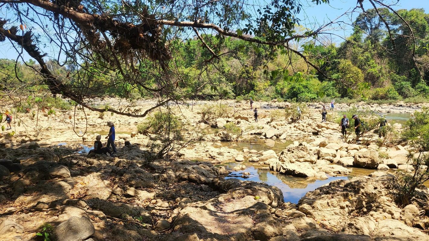 View - 	Rủ nhau đi trốn nắng ở Vườn Quốc gia Cát Tiên