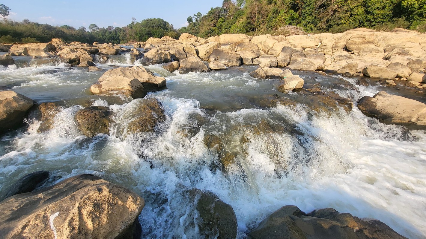 View - 	Rủ nhau đi trốn nắng ở Vườn Quốc gia Cát Tiên