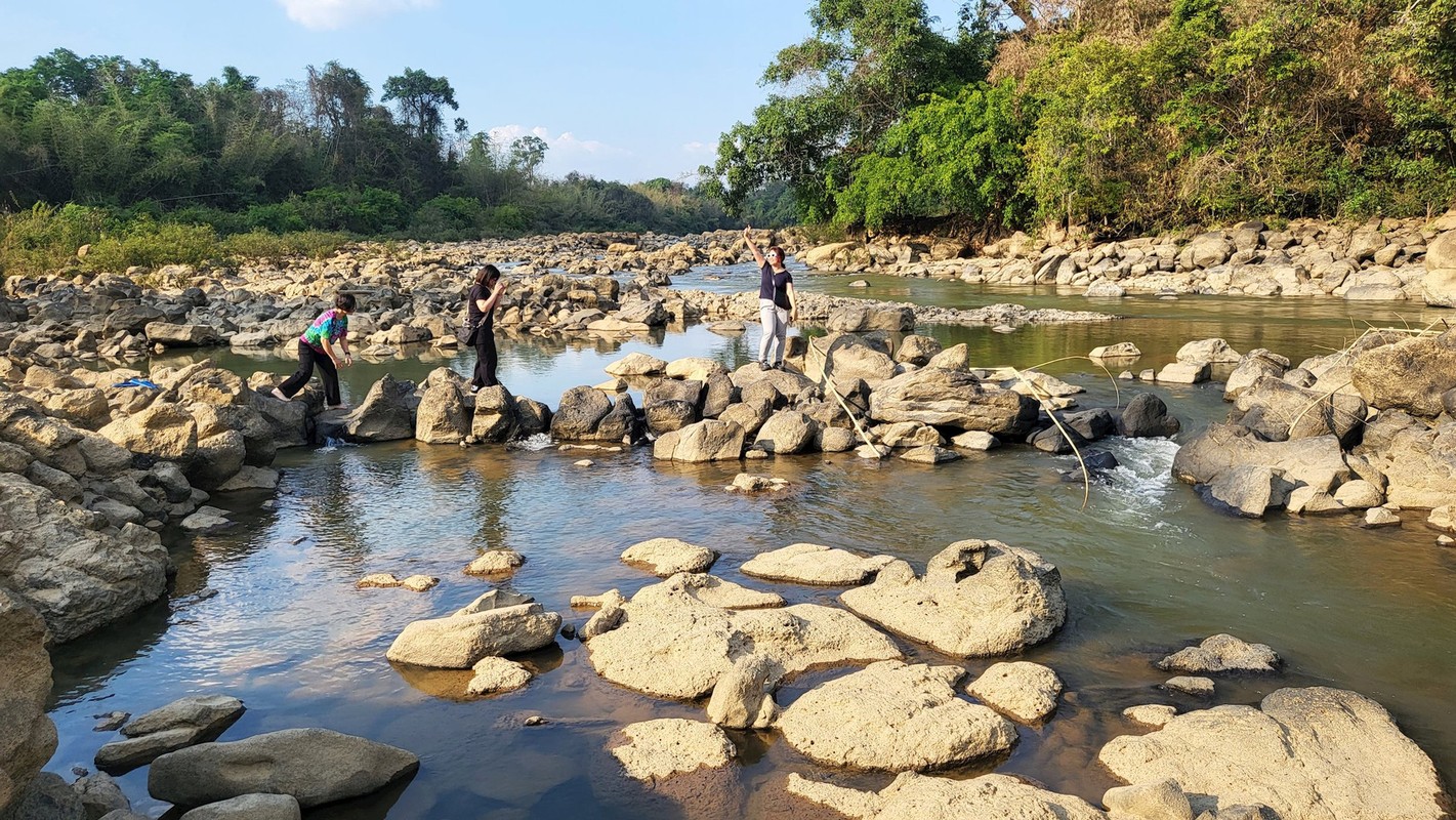 View - 	Rủ nhau đi trốn nắng ở Vườn Quốc gia Cát Tiên