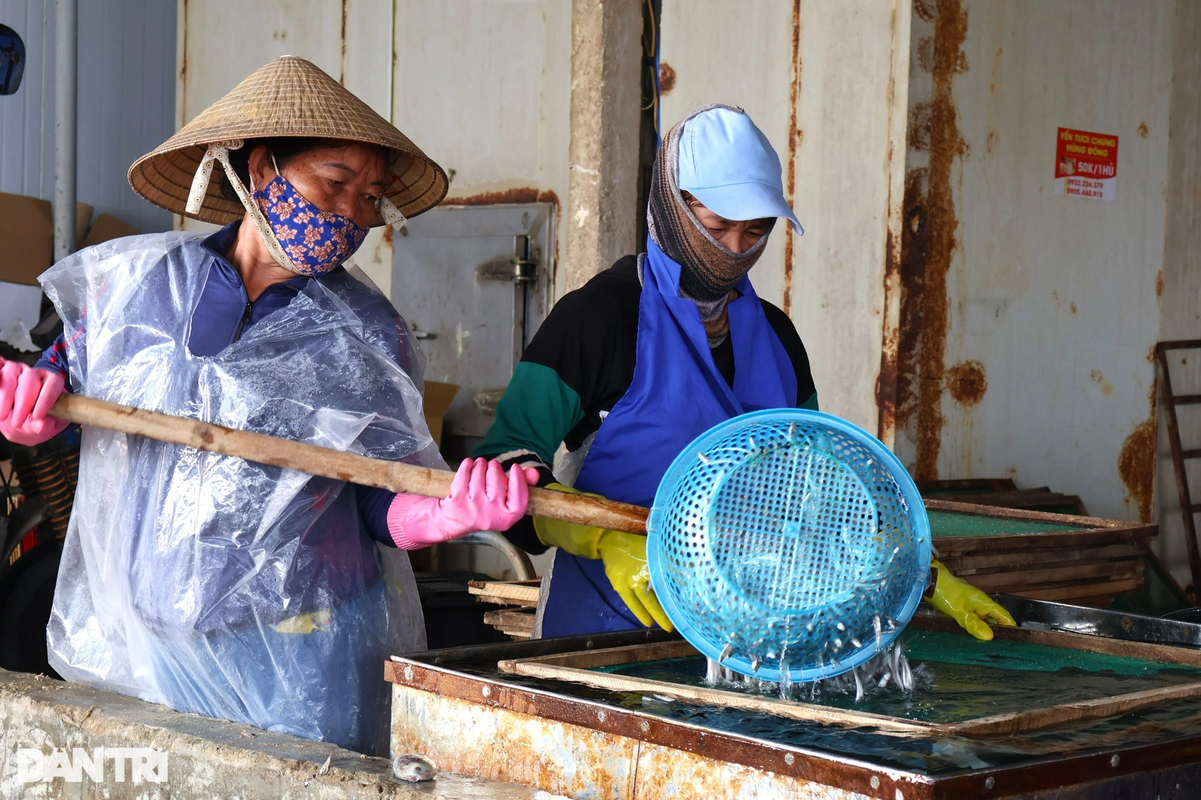 View - 	Ngư dân Quảng Nam trúng mùa cá lò hấp cá chạy hết công suất