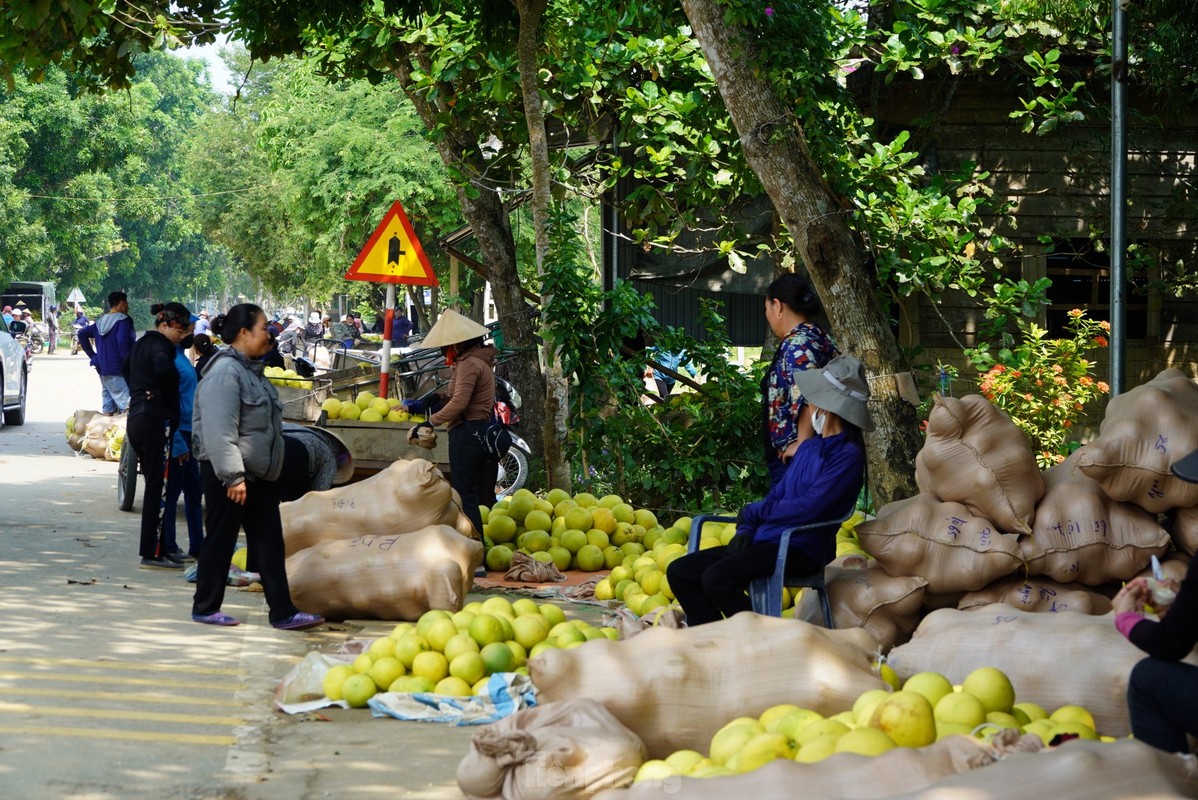 View - 	Tấp nập phiên chợ được nhuộm bằng màu vàng bưởi chín ở Hà Tĩnh