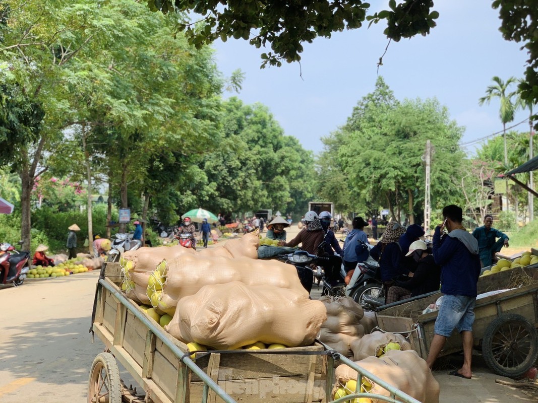 View - 	Tấp nập phiên chợ được nhuộm bằng màu vàng bưởi chín ở Hà Tĩnh