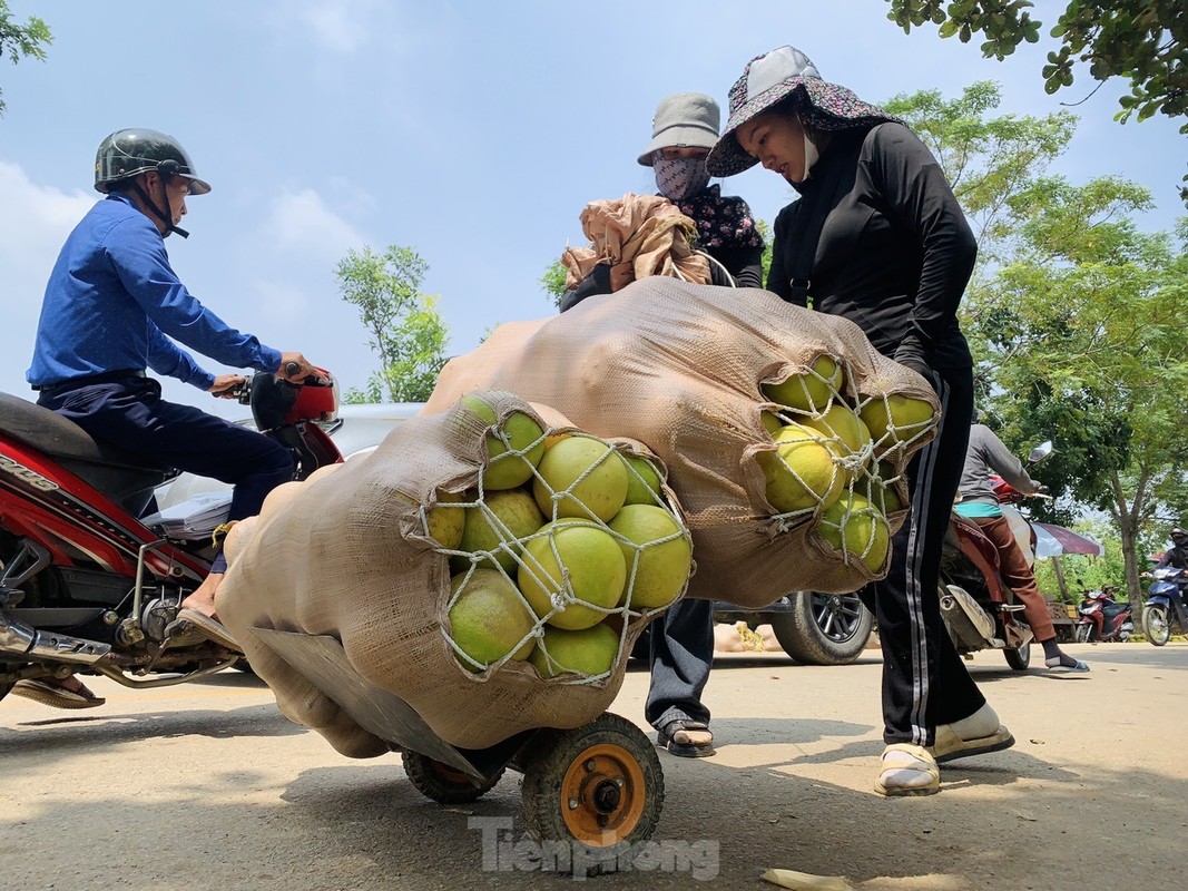 View - 	Tấp nập phiên chợ được nhuộm bằng màu vàng bưởi chín ở Hà Tĩnh