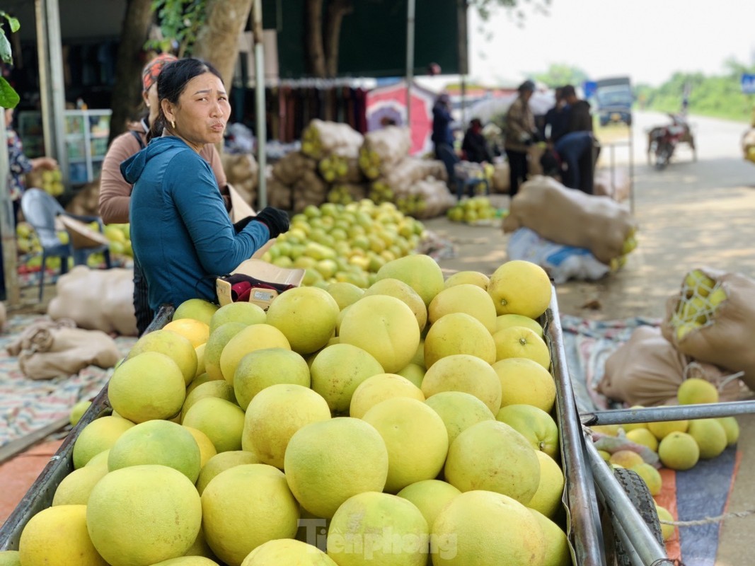 Tap nap phien cho duoc nhuom bang mau vang buoi chin o Ha Tinh