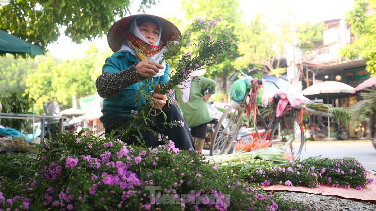 Thu phu hoa lon nhat Ha Noi mat mua “lo hen” dip 20/10-Hinh-13