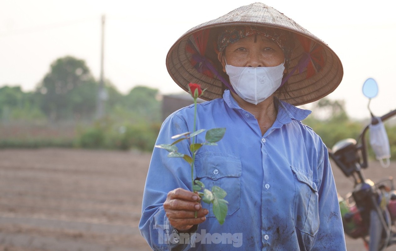 Thu phu hoa lon nhat Ha Noi mat mua “lo hen” dip 20/10-Hinh-6