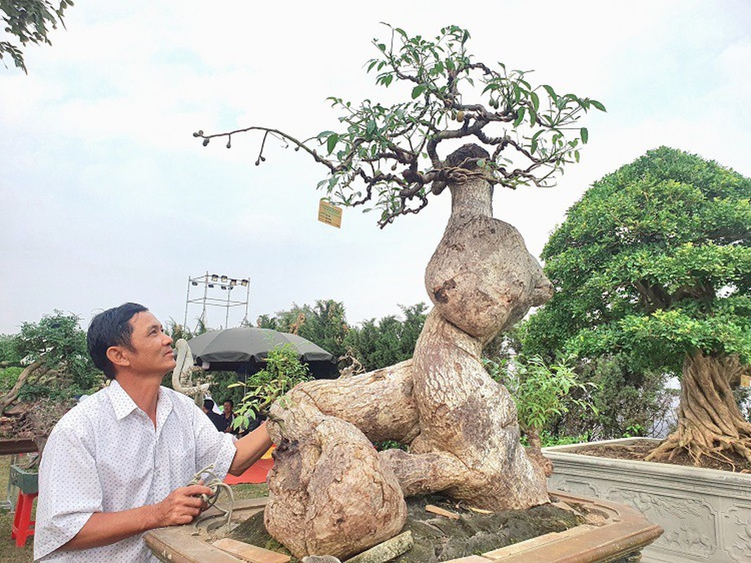 Dan cay canh tien ty do bo ve Ha Noi truoc Tet Duong lich-Hinh-13