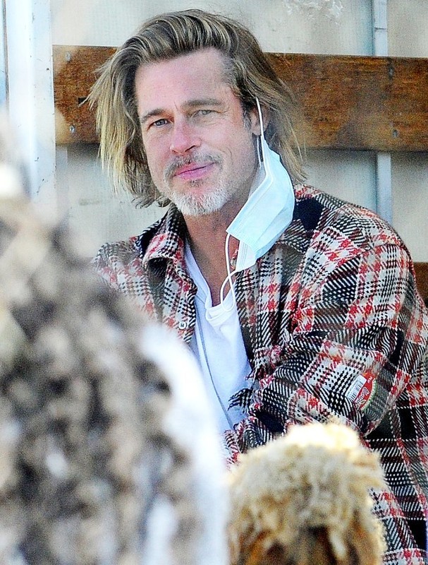 Brad Pitt lo dien gia nua sau chia tay ban gai kem 30 tuoi-Hinh-4