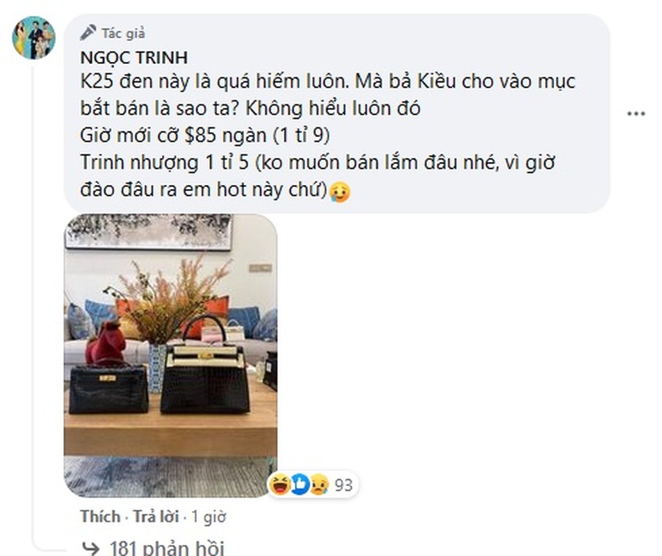 Ngoc Trinh thanh ly loat do hieu gia hang chuc ty gay soc-Hinh-11