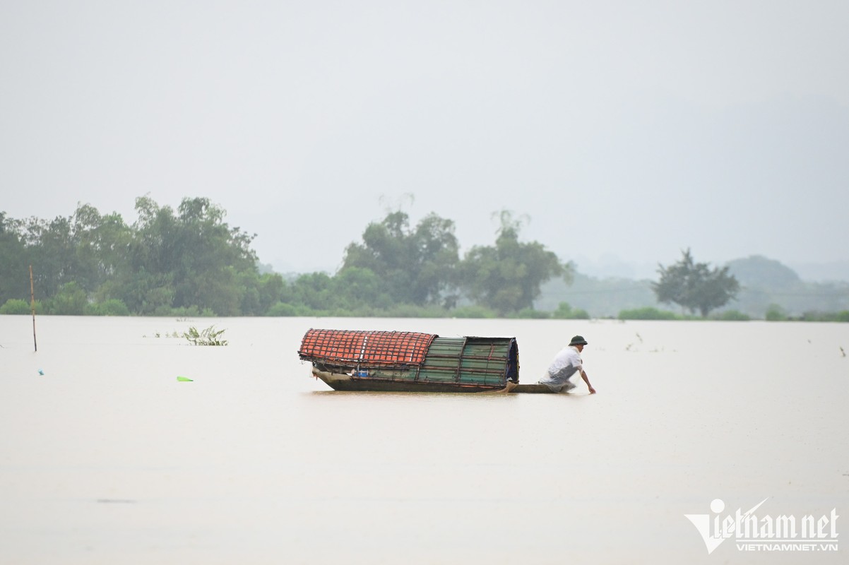 Nguoi dan ngoai thanh Ha Noi ra duong bat ca trong nuoc lu-Hinh-7