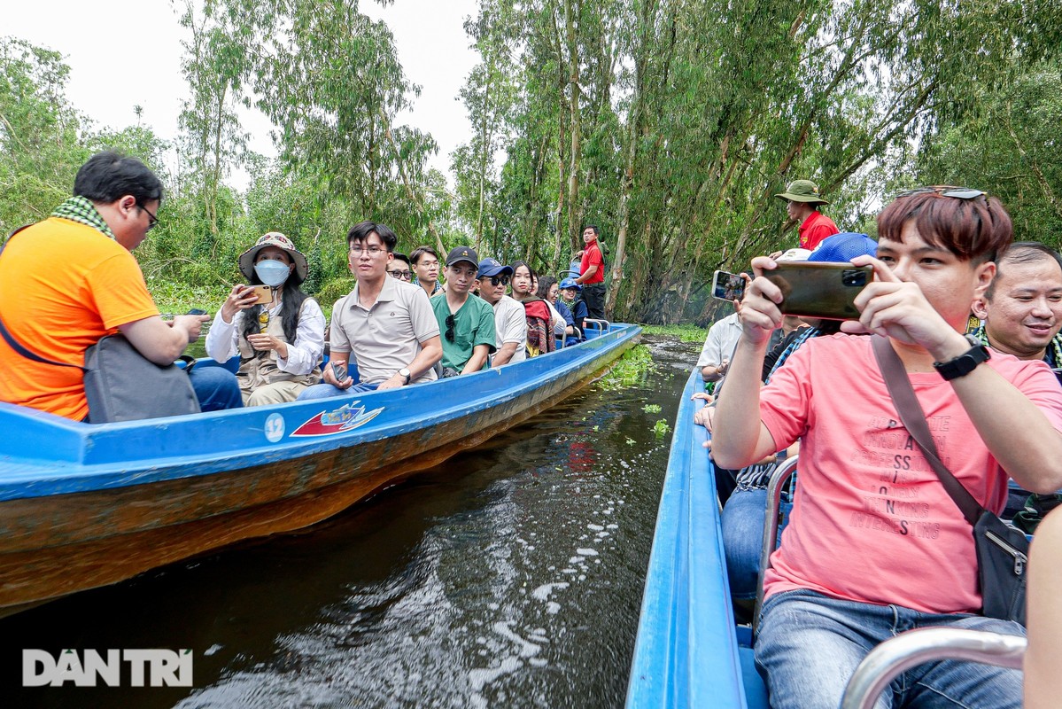 Ghe rung tram dep nhat mien Tay, noi phim “Dat rung phuong Nam” bam may-Hinh-6