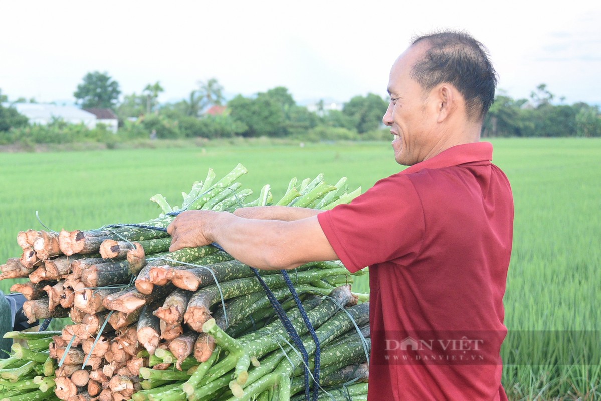 Thuong thuc mon canh chot nua da di vao thi ca o Hue-Hinh-5