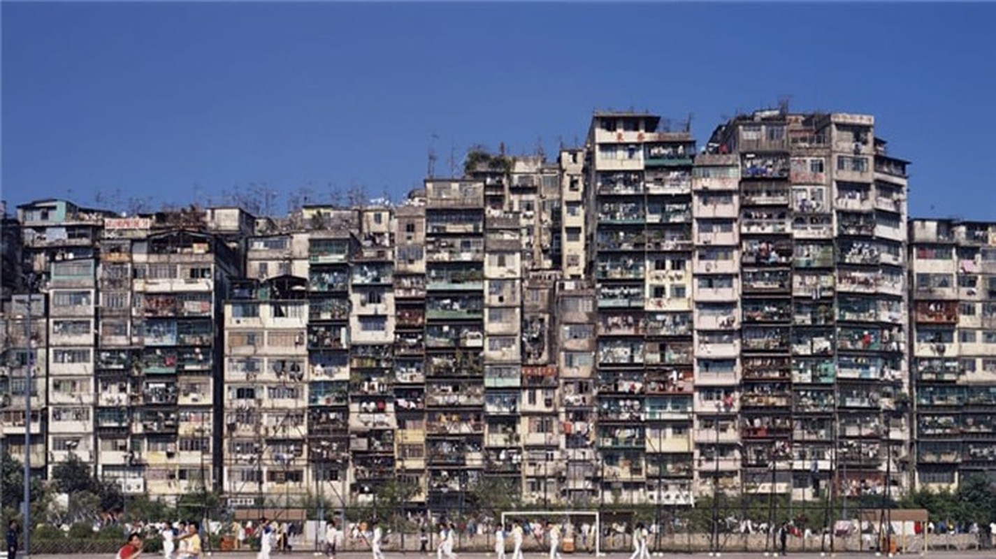 Can canh khu o chuot khung khiep nhat Hong Kong-Hinh-2
