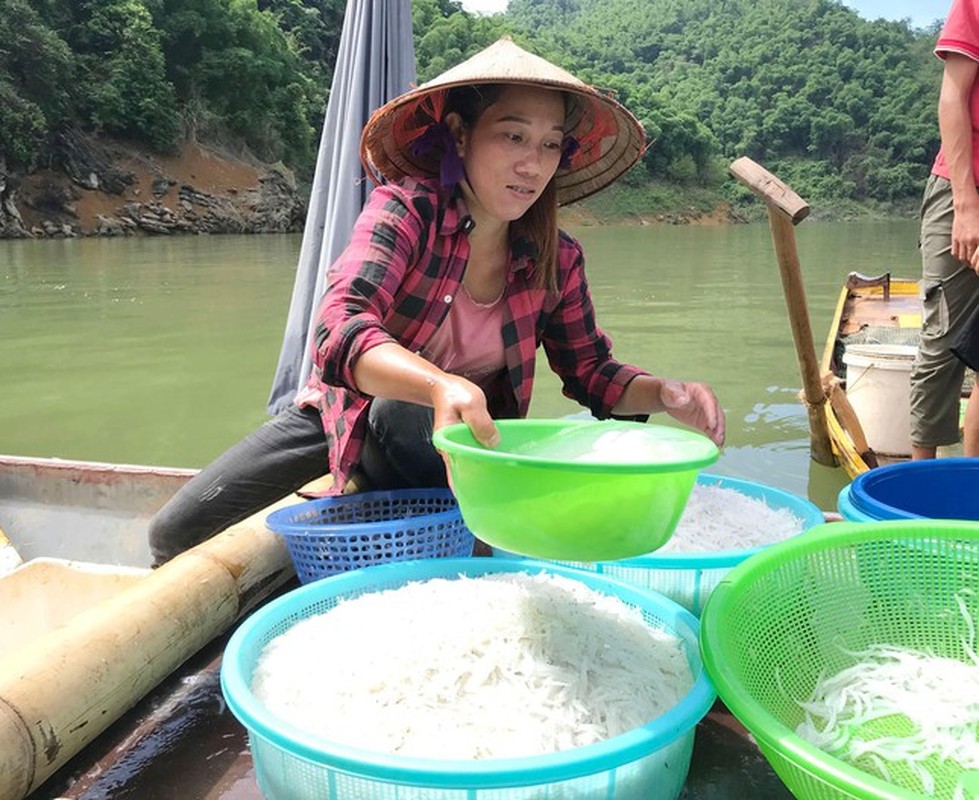 Danh bat loai ca trang ngan dac san tren ho thuy dien Hoa Binh-Hinh-4