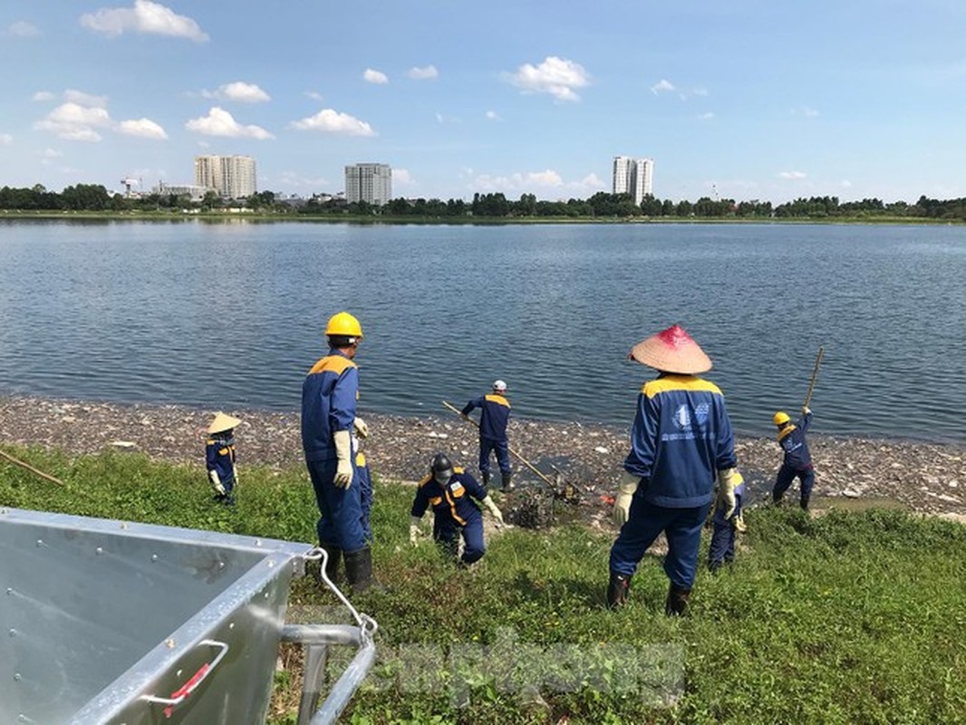 Ha Noi: Ca lai chet hang loat tai ho dieu hoa Yen So-Hinh-10