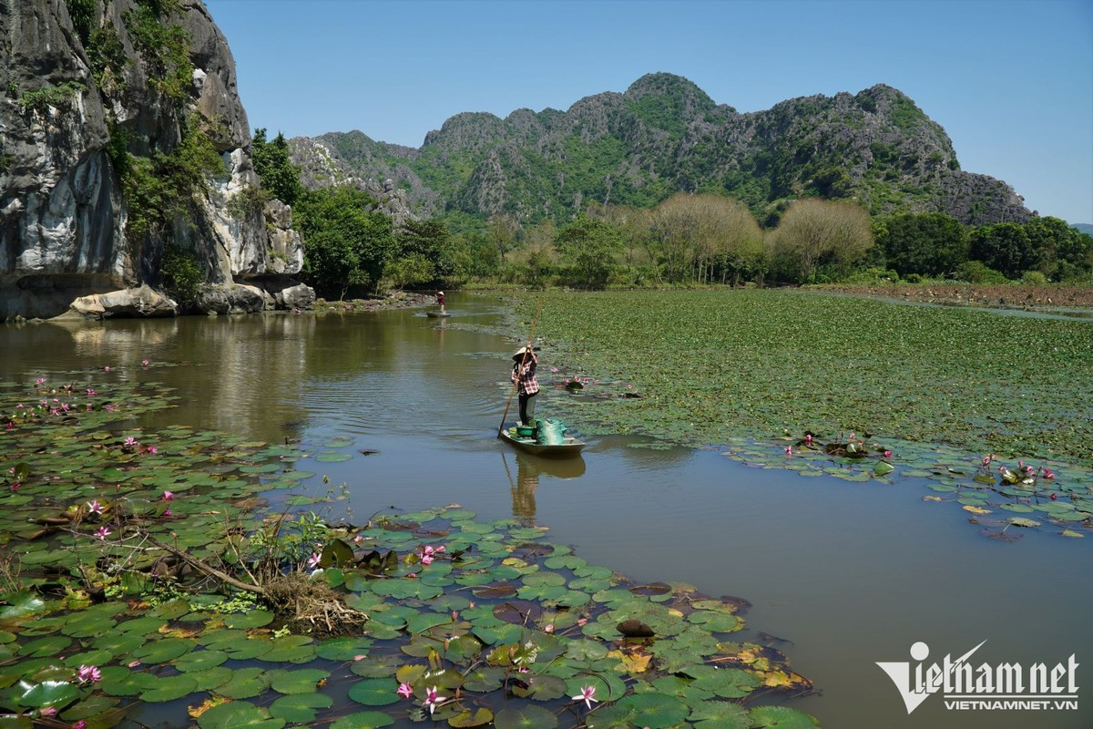 Khu danh thang giua vung dam lay dep tua 'Trang An thu nho' o Thanh Hoa-Hinh-3