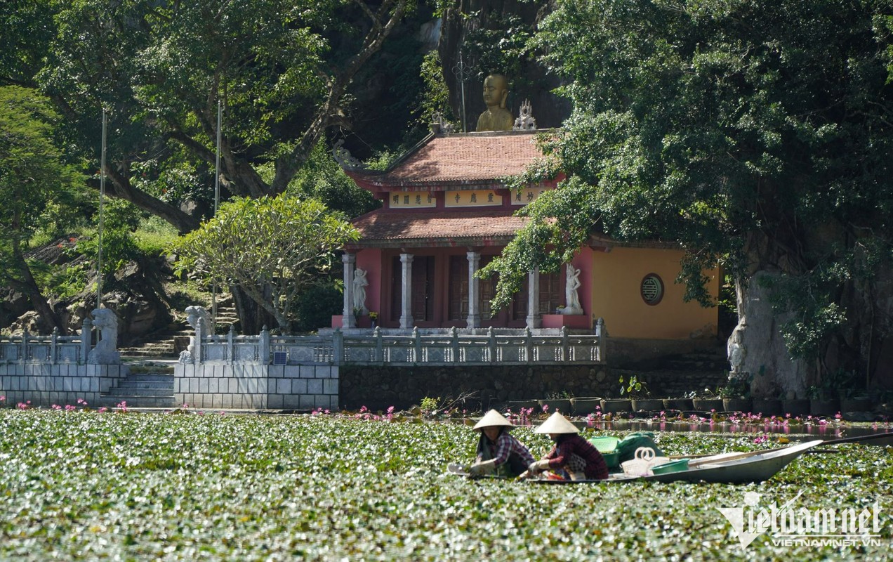 Khu danh thang giua vung dam lay dep tua 'Trang An thu nho' o Thanh Hoa-Hinh-5