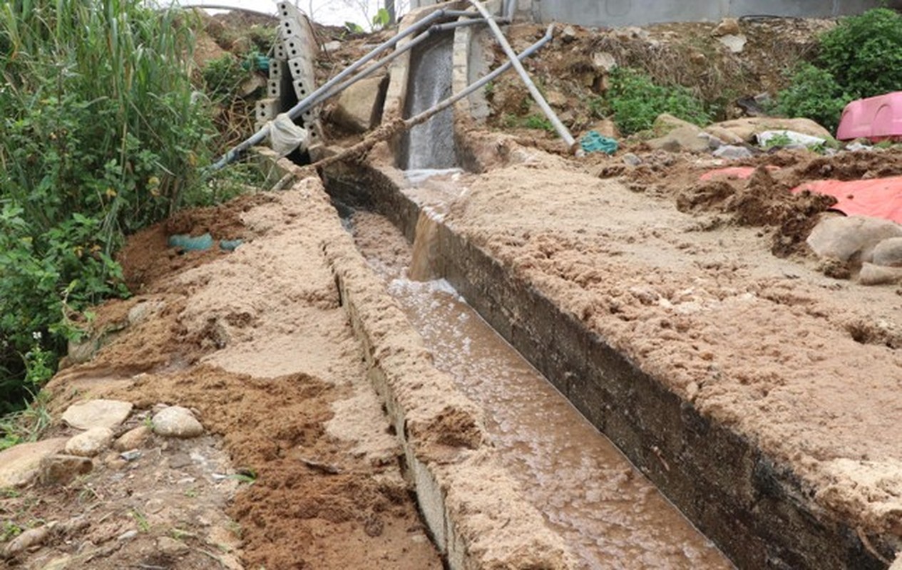 'Dong suoi chet' ben canh cac co so che bien dong rieng o Lai Chau-Hinh-2