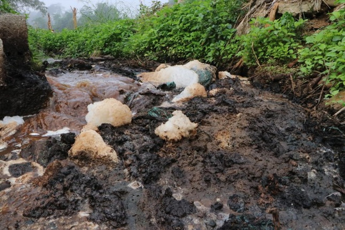 'Dong suoi chet' ben canh cac co so che bien dong rieng o Lai Chau-Hinh-6