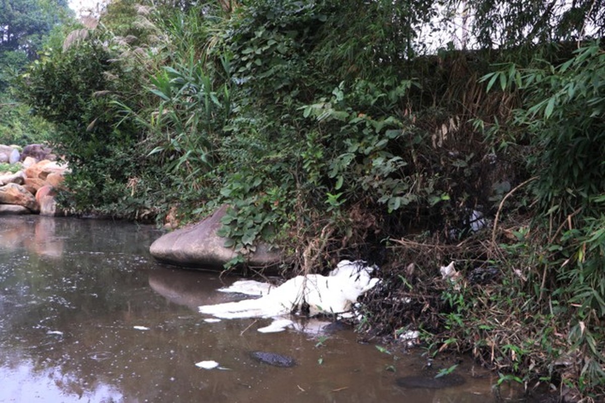 'Dong suoi chet' ben canh cac co so che bien dong rieng o Lai Chau-Hinh-7