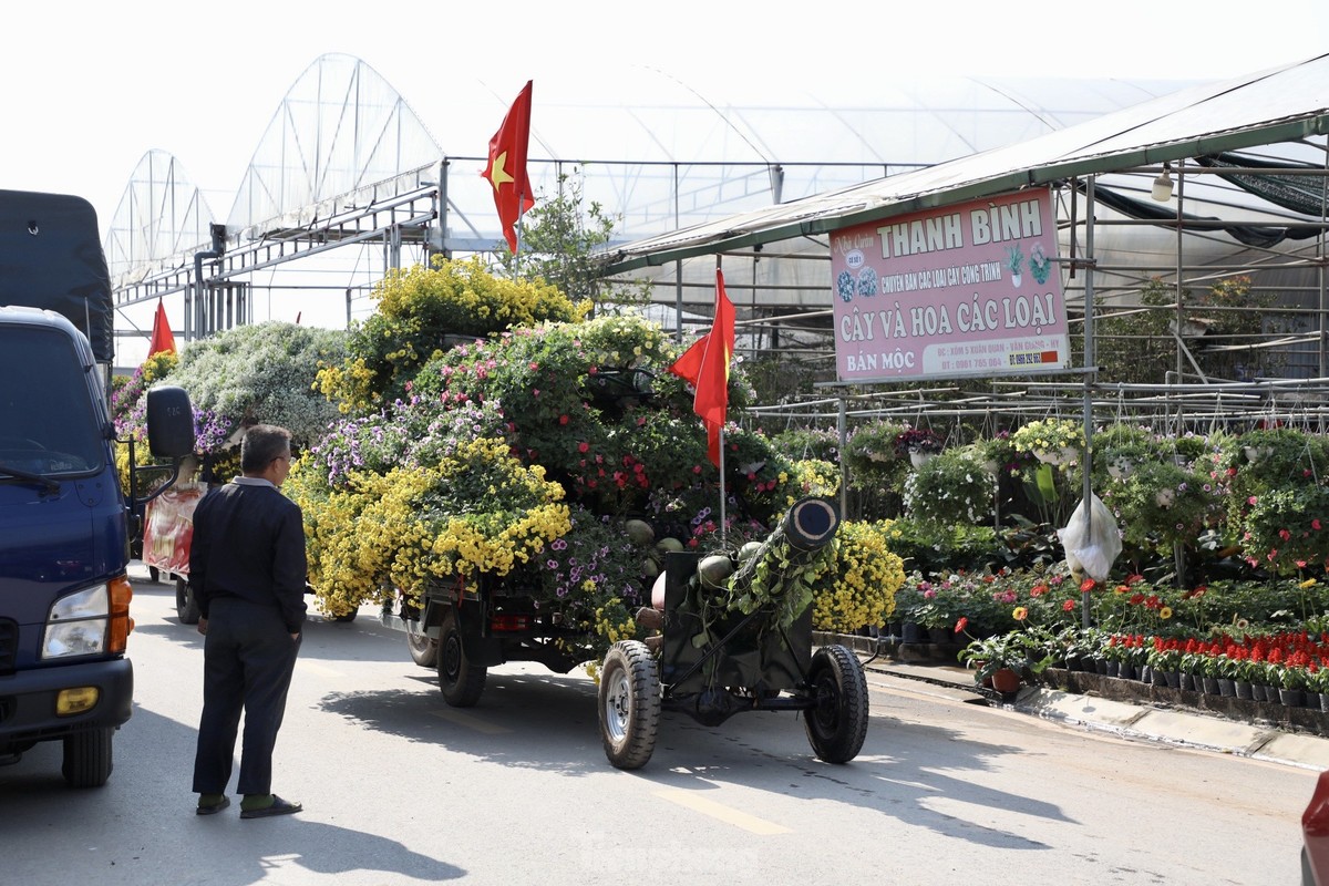 Thu phu hoa noi tieng mien Bac ruc ro sac mau buoc vao vu Tet-Hinh-12