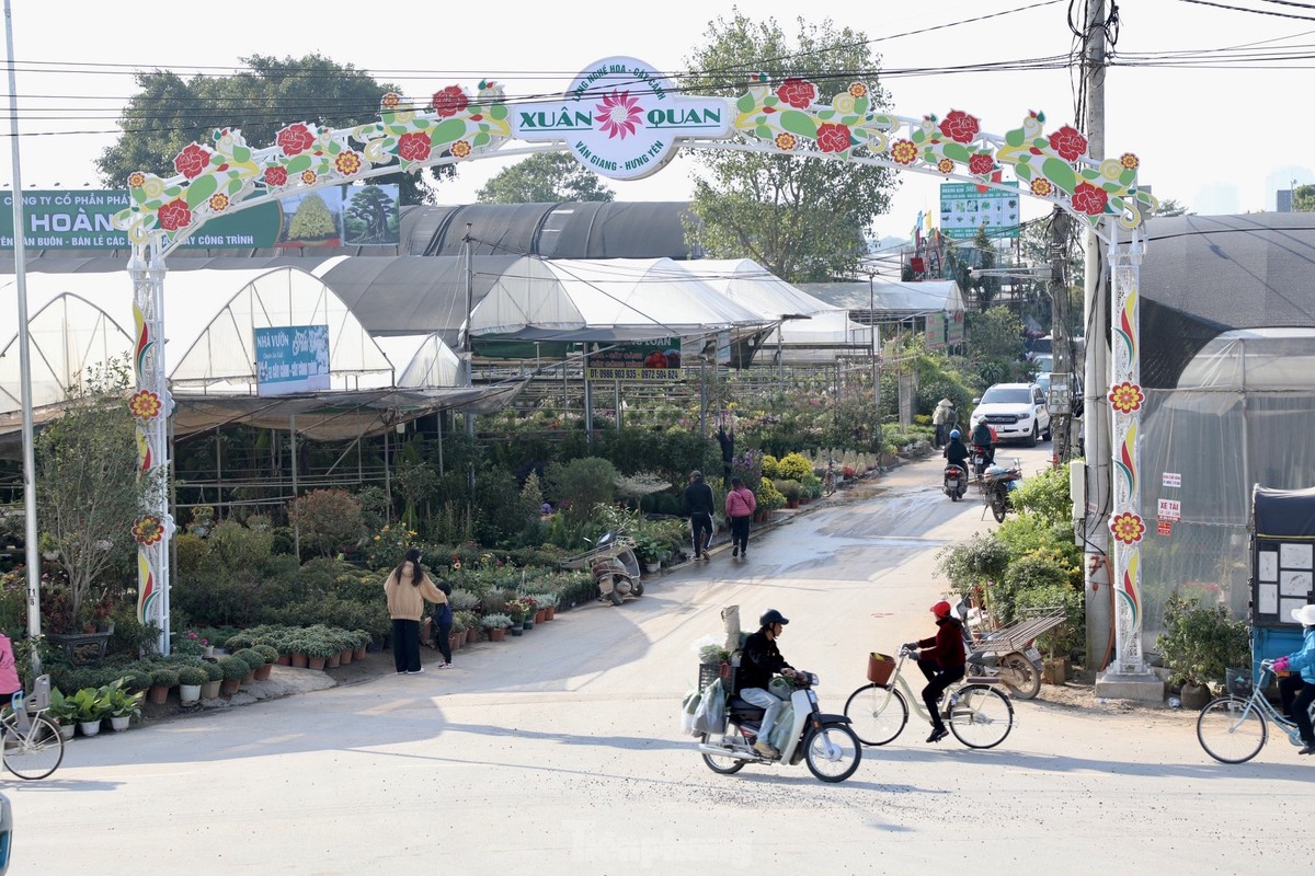 Thu phu hoa noi tieng mien Bac ruc ro sac mau buoc vao vu Tet