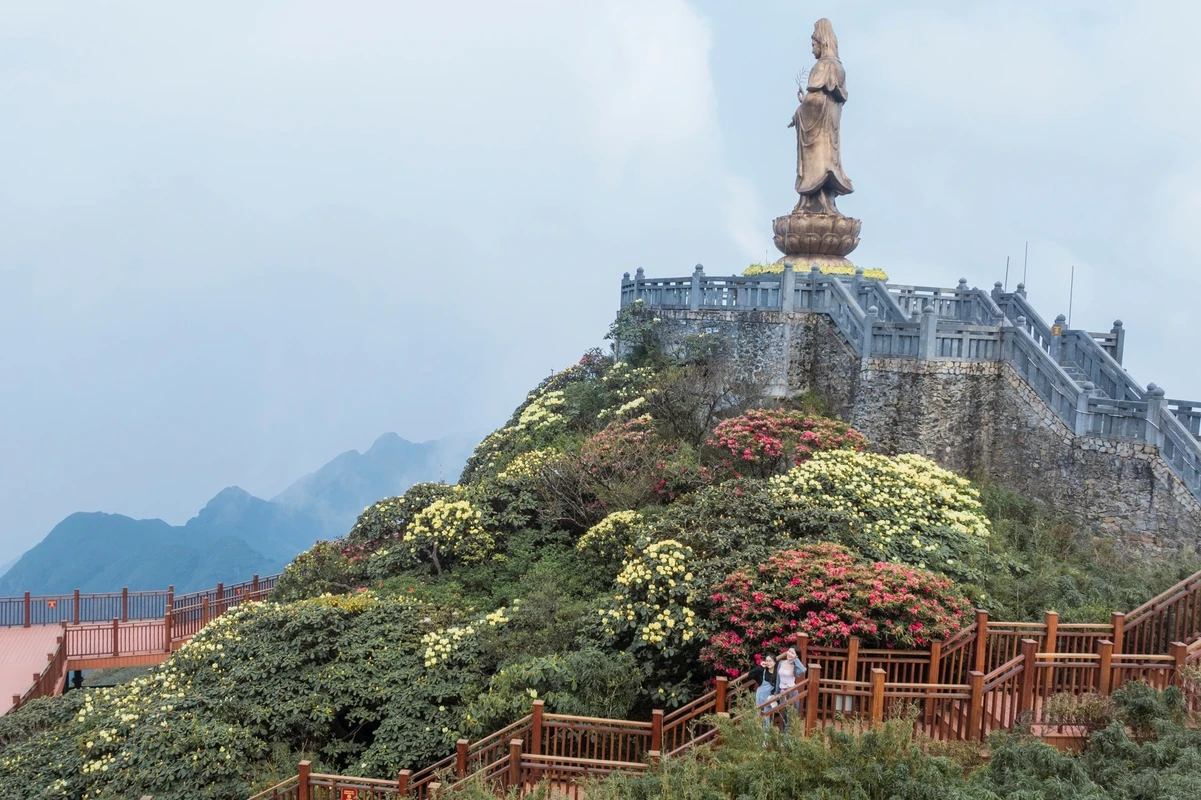 Me man ngam rung hoa do quyen bung no ruc ro tu dinh Fansipan-Hinh-6