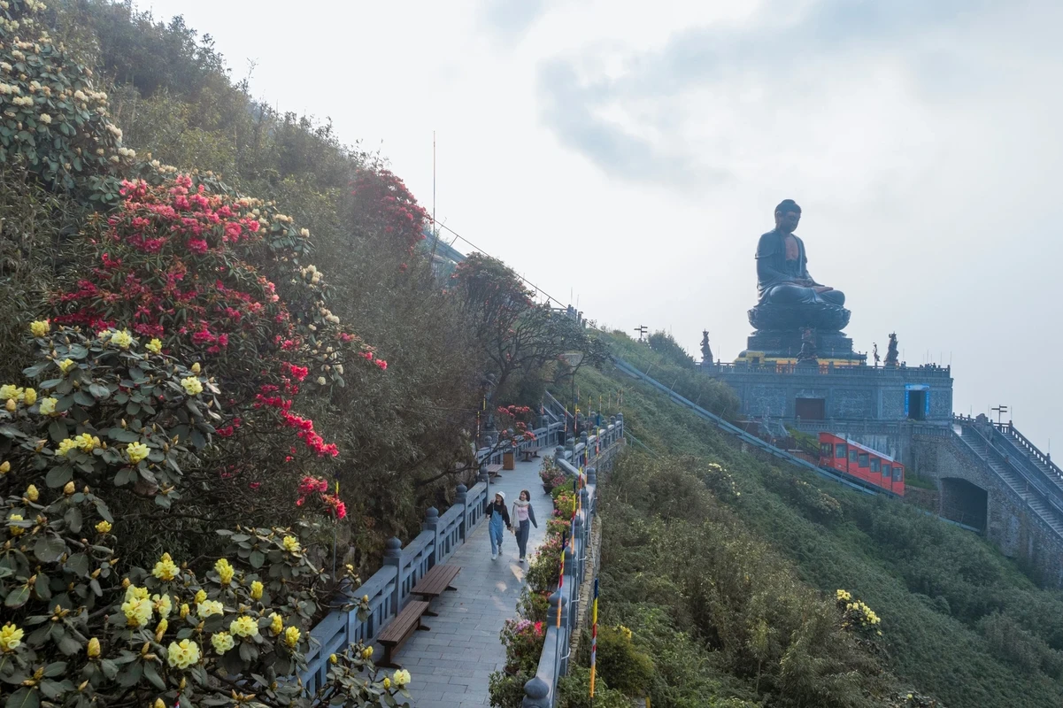 Me man ngam rung hoa do quyen bung no ruc ro tu dinh Fansipan-Hinh-8