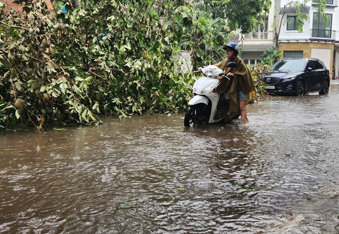 Biet thu trieu USD o khu “nha giau” Ha Noi ngap lut-Hinh-10