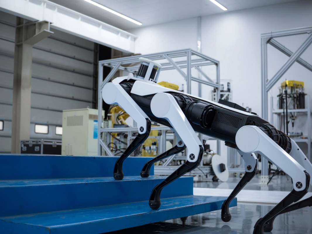Tan muc cho robot AI bao ve di tich ngan nam tuoi-Hinh-2